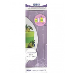 RASQUETA SCRAPER FAULT LINE LARGE PME