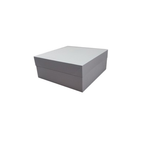 CAJA RECTANGULAR ALT REGULABLE 45 X 35 X 31