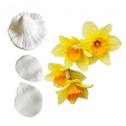 SET TEXTURIZADORES NARCISO