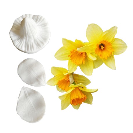 SET TEXTURIZADORES NARCISO