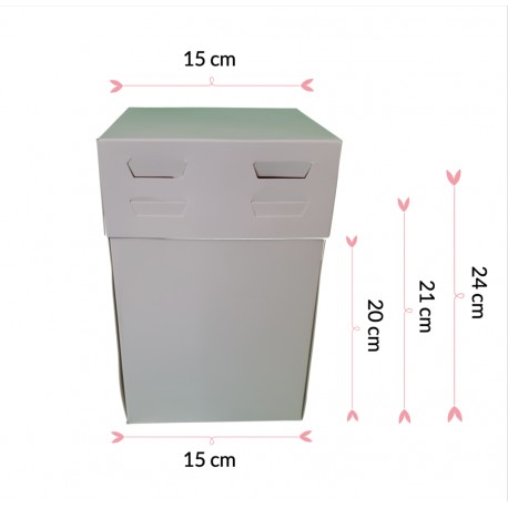 CAJA REGULABLE 15 X 15 X 24 CM