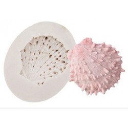 MOLDE CONCHA ESPINADA