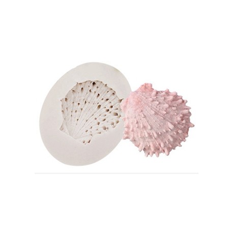 MOLDE CONCHA ESPINADA