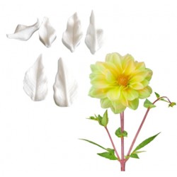 SET 3 TEXTURIZADORES DOBLES HOJAS DE DALIA