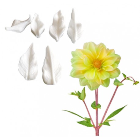 SET 3 TEXTURIZADORES DOBLES HOJAS DE DALIA