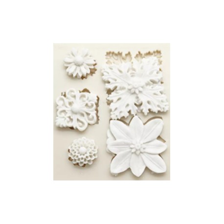 MOLDE SILICONA 5 CAMAFEOS Y JOYAS