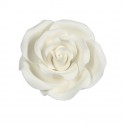 ROSA BLANCA AZUCAR 2.5 CM