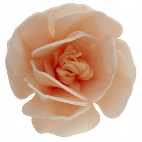 PACK 6 FLORES MAGNOLIAS BLANCAS Y MELOCOTON OBLEA 3D DEKORA