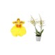SET CORTADORES Y TEXTURIZADORES PRO ORQUIDEA ONCIDIUM