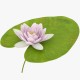 SET CORTADORES Y TEXTURIZADORES PRO FLOR DE LOTO WATER LILY