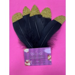 PLUMAS NEGRAS Y DORADAS