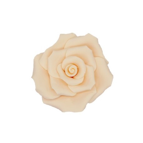 ROSA MARFIL AZUCAR 7 CM