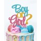 TOPPER AZUL Y ROSA BOY OR GIRL