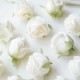 SET 5 FLORES ROSAS BLANCAS CAPULLOS 5 CM DECORACION