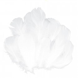 SET 10 PLUMAS COLOR BLANCO DECORACION