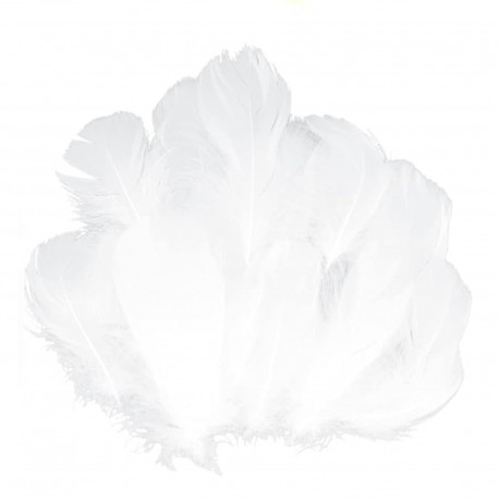 SET 10 PLUMAS COLOR BLANCO DECORACION