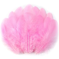 SET 10 PLUMAS COLOR ROSA DECORACION