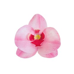 PACK 3 FLORES ORQUIDEAS OBLEA 3D