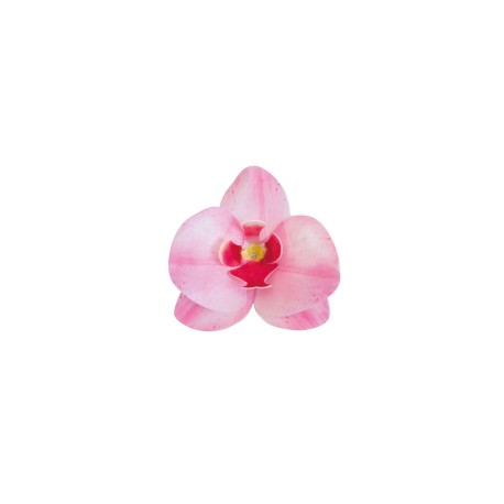 PACK 3 FLORES ORQUIDEAS OBLEA 3D