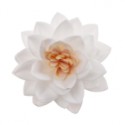 PACK 3 FLORES LOTO BLANCO OBLEA 3D