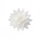 PACK 4 FLORES POMPON GRANDE BLANCO OBLEA 3D