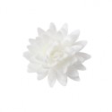 PACK 4 FLORES POMPON GRANDE BLANCO OBLEA 3D