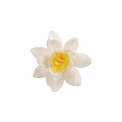 PACK 3 FLORES NENUFAR BLANCO OBLEA 3D