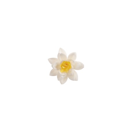 PACK 3 FLORES NENUFAR BLANCO OBLEA 3D