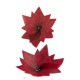 PACK 4 FLORES DE PASCUA POINSETIA OBLEA 3D