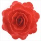 FLOR GIGANTE ROSA COLOR ROJO OBLEA 3D DEKORA