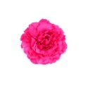 SET 6 FLORES PEONIA FUCSIA DECORACION