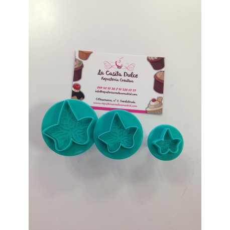 SET 3 HOJAS HIEDRA OFFER