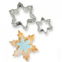 SET 2 CORTADORES COPOS DE NIEVE PME