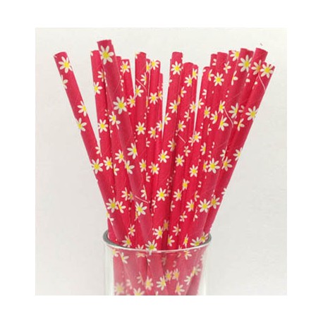 25 PAJITAS PAPEL ROJO CON MARGARITAS